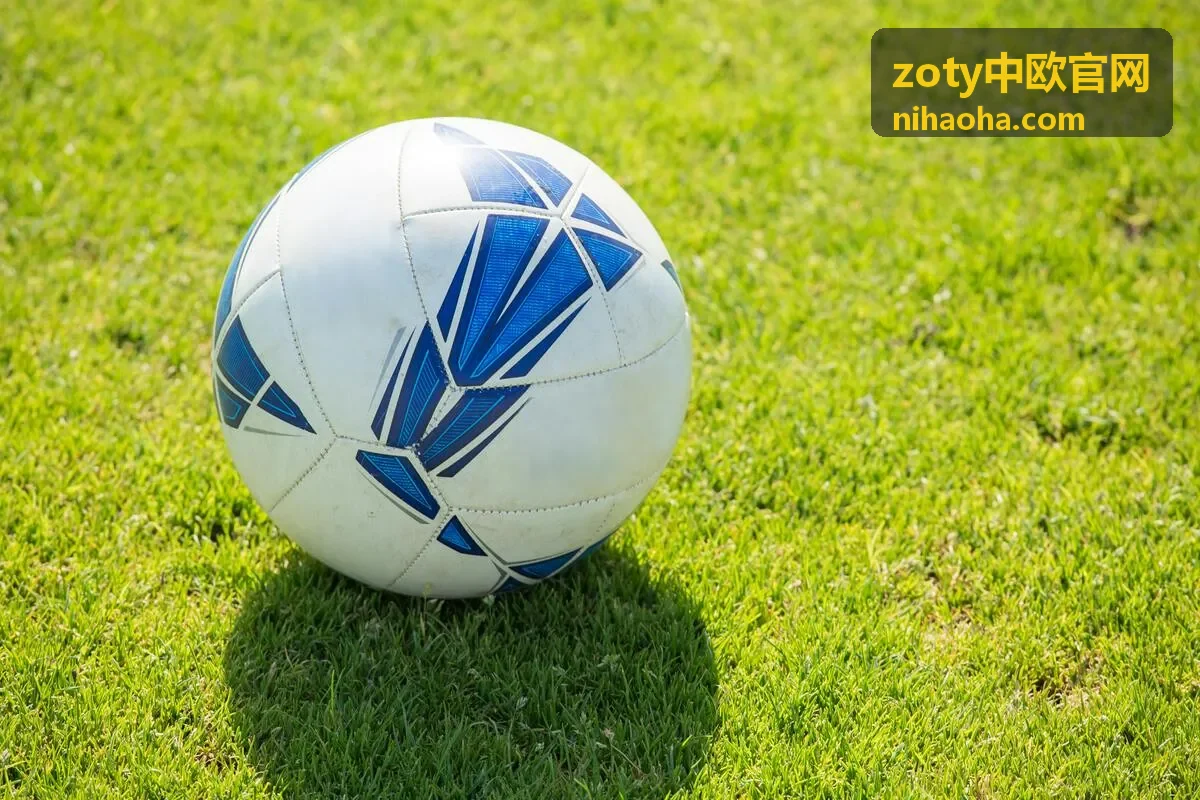 zoty中欧官网资料准备与合规事项梳理